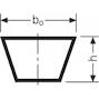 conti_cc1300_2
