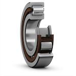 skf_nup208ecpc3