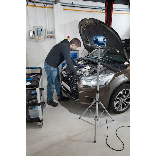 expert_e230201
