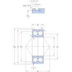 skf_3310dnrcbm_2