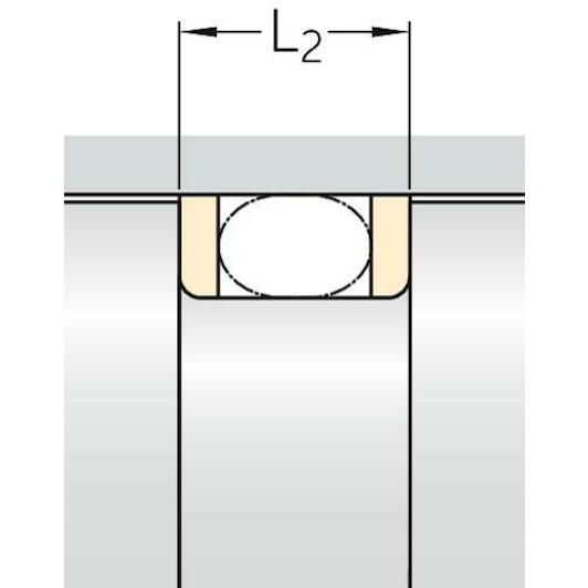 skf_str45x50x13_y95a_3