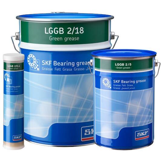 skf_lggb218_2