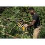 dewalt_dcmps520n_xj_15