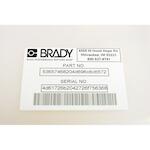 brady_030147_3