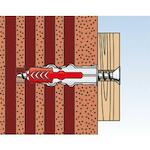 fischer_535464_11