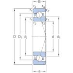 skf_7010cegap4a_2