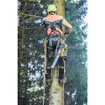 dewalt_dcmcst635x1_qw