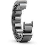 skf_rnu306
