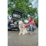 karcherhomegarden_16800180_4