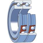 skf_305183