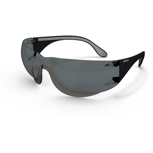 moldex_140201
