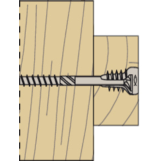 fischer_558881_9