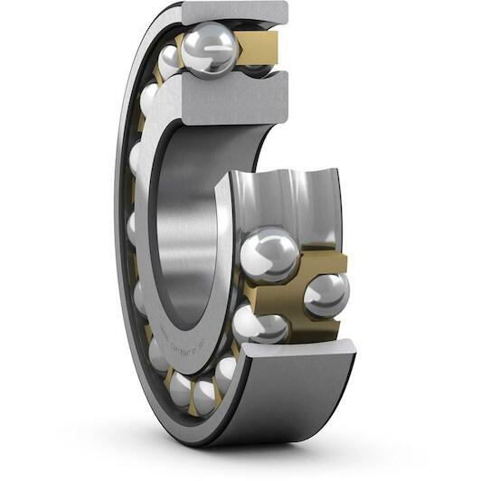 skf_2306m