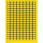 brady_101805