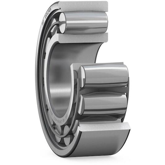 skf_c2217