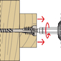 fischer_558879_11