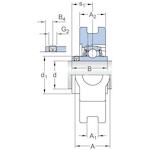 skf_uct216_2