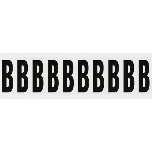 brady_234464