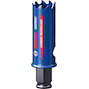bosch_2608900420