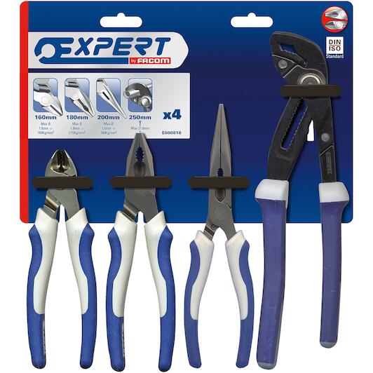 expert_e080818