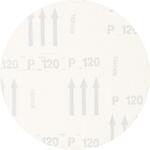 pferd_45017774_2