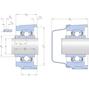 skf_p2btc25m_tpss_2