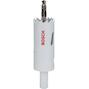 bosch_2609255603