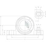 skf_p2bc20m_tpss_3