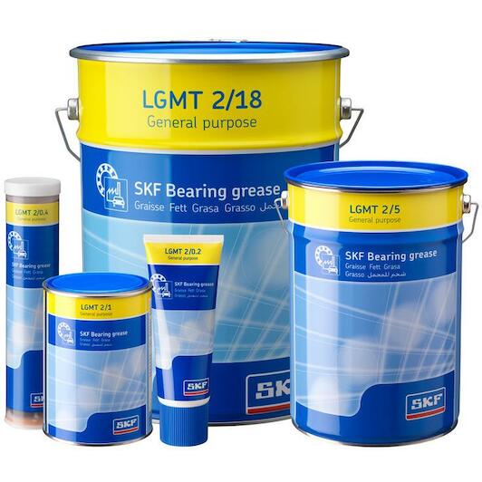 skf_lgmt202_2