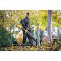 dewalt_dcmbbl800n_xj_5