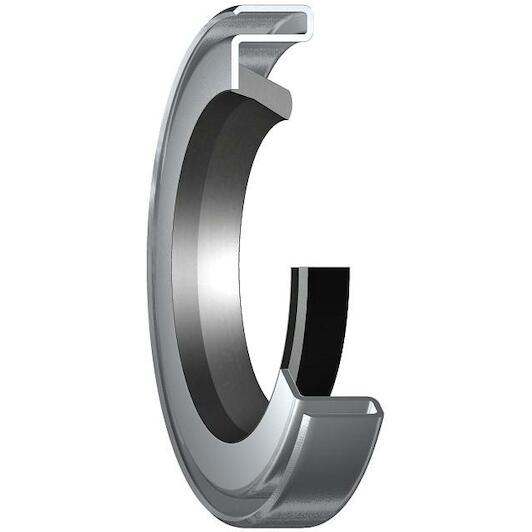 skf_25007