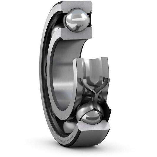 skf_6009_rs1