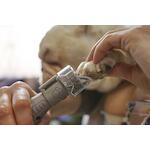 dremel_2615pg02ja