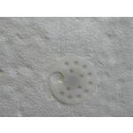 spit_038570
