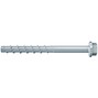 fischer_536857