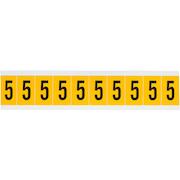 brady_015305