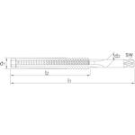 phantom_259501604_2