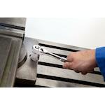 expert_e031612