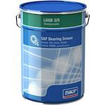 skf_lggb25