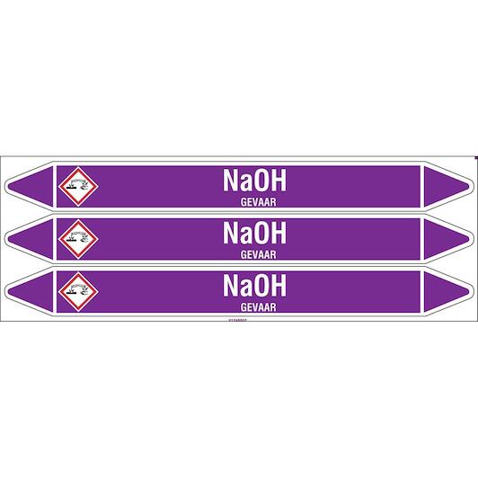 brady_n003902