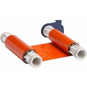 brady_013600