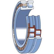 skf_nn3010tnsp