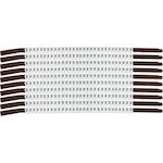 brady_133903