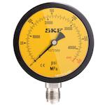 skf_1077589