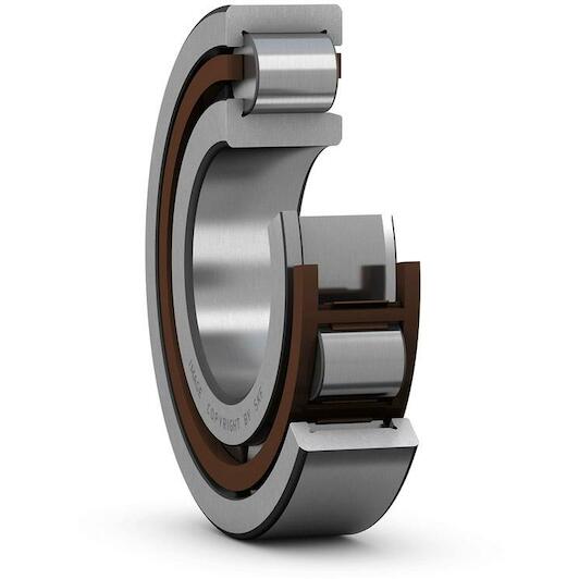 skf_nj202ecp