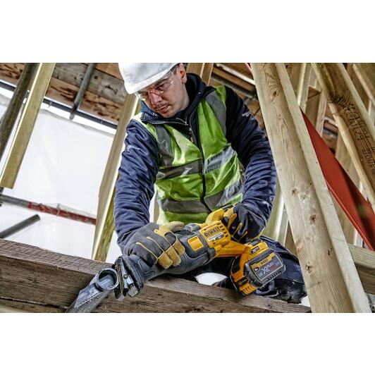 dewalt_dcs389n_xj