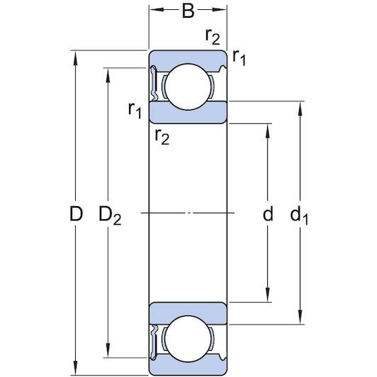 skf_6006_rs1_2