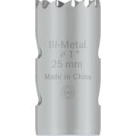 bosch_2608901498_3