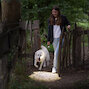 ledlenser_502178_9