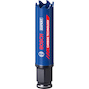 bosch_2608900419